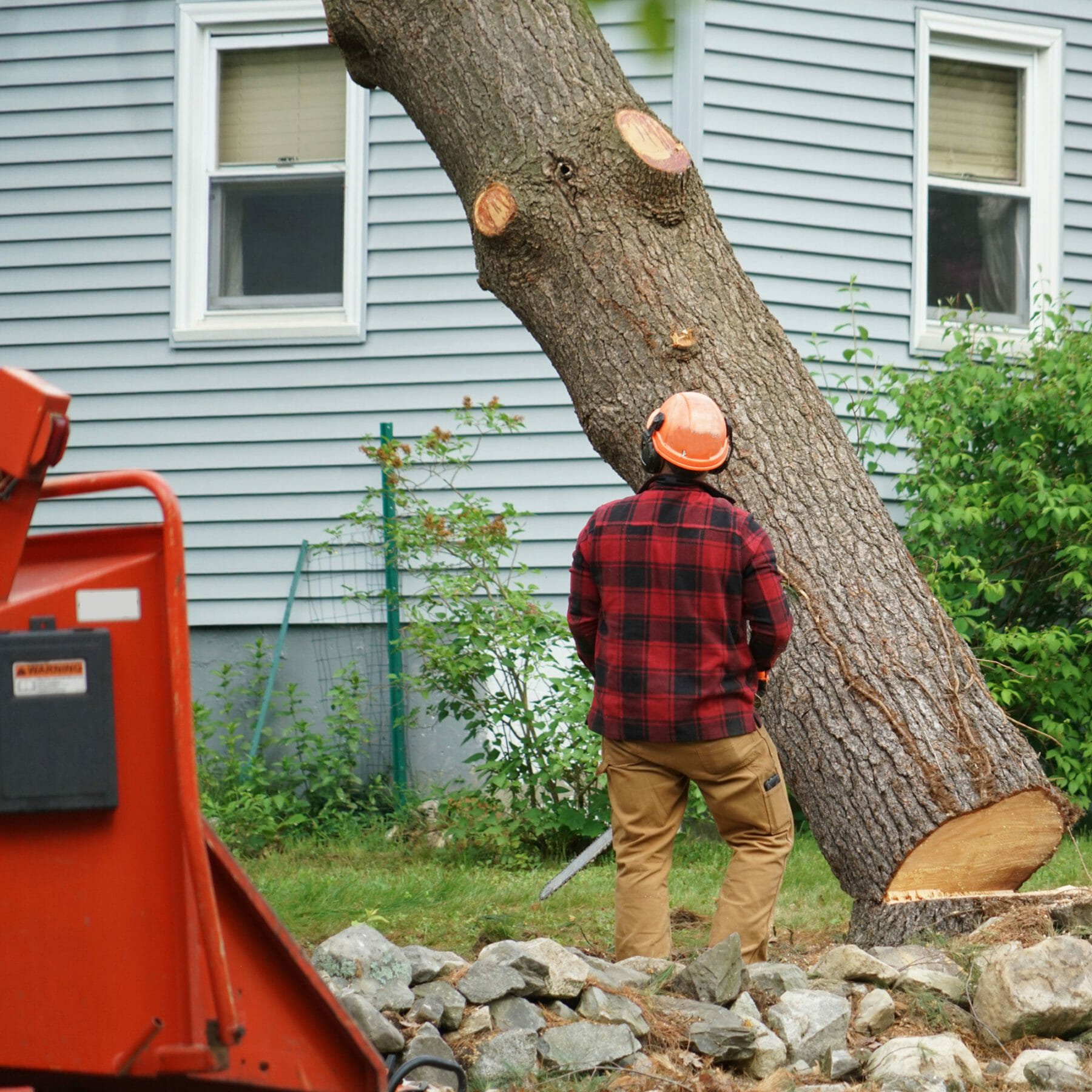 hoa & multifamily tree service