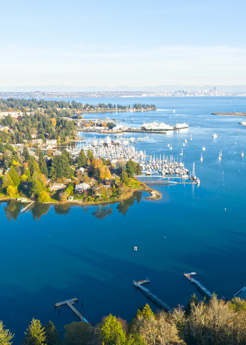 Washington area with body of water surrounded by greenery