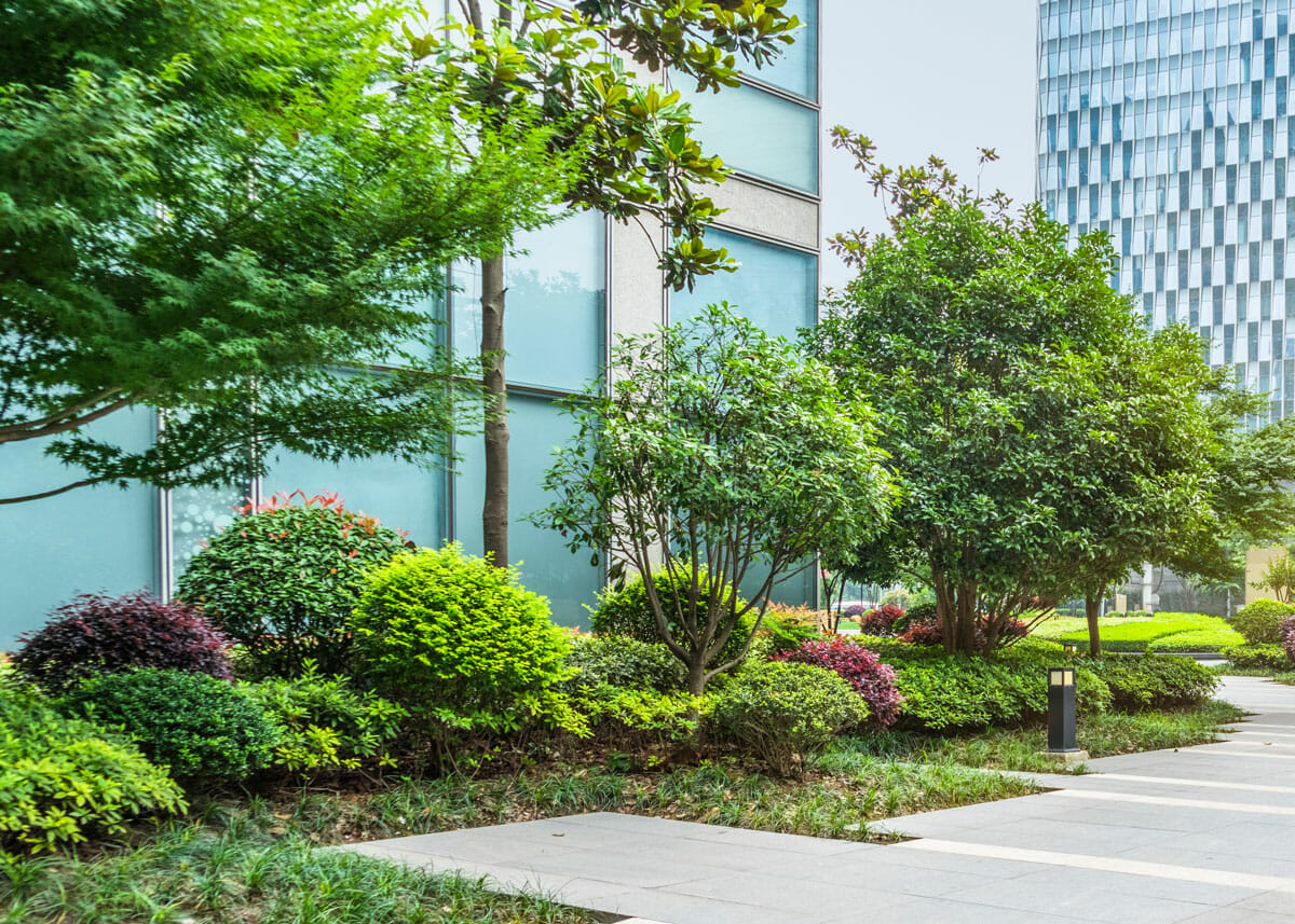 Trees and bushes outside commercial building