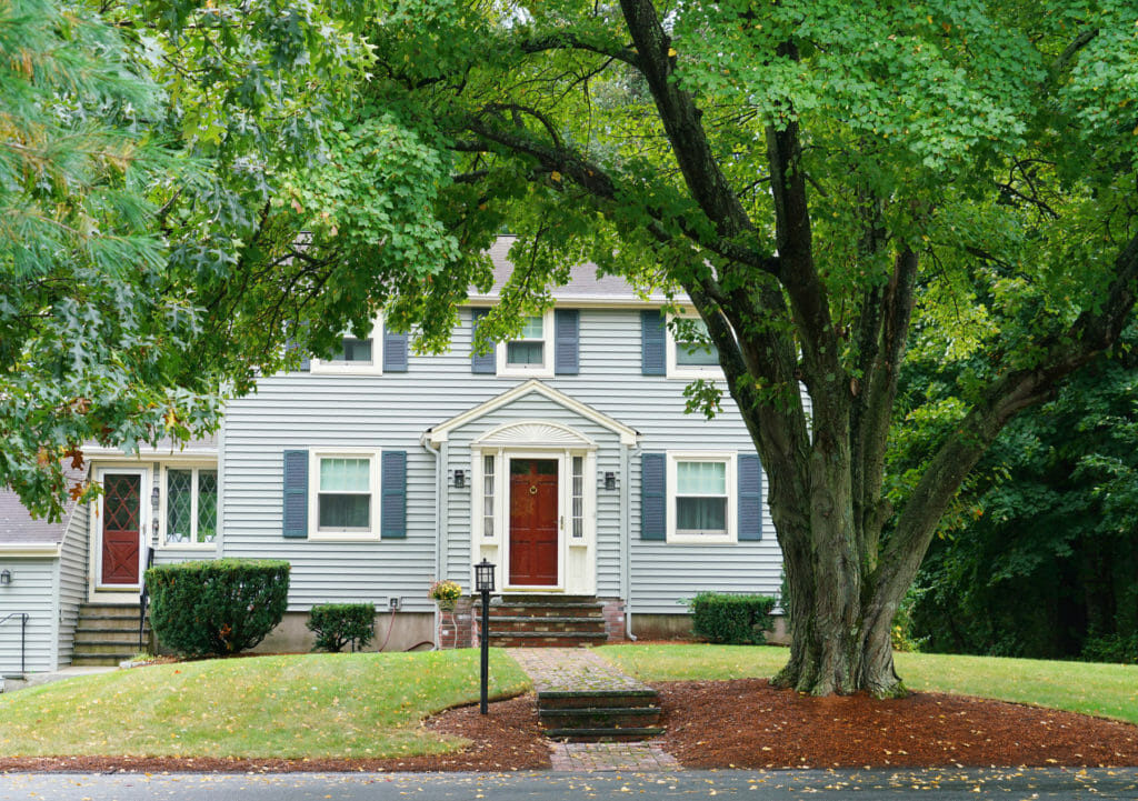 Tree in front of a Seattle home adding property value to neighborhood