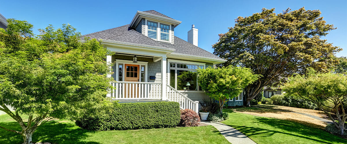 House in seattle surrounded by trees