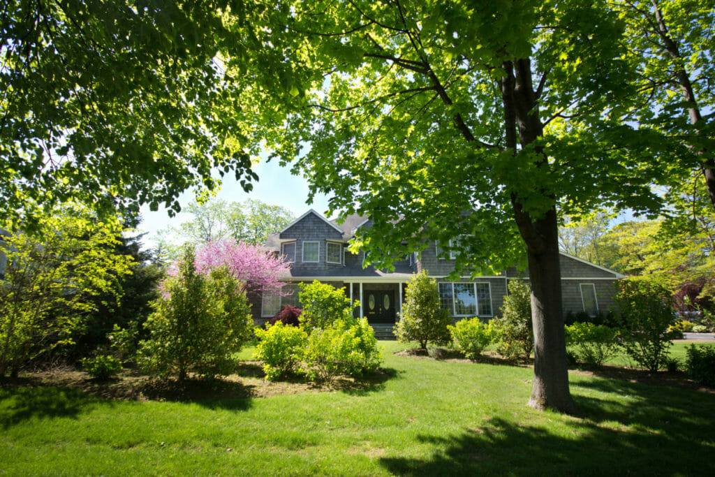 Home surrounded by trees in Washington | Pacific Arboriculture