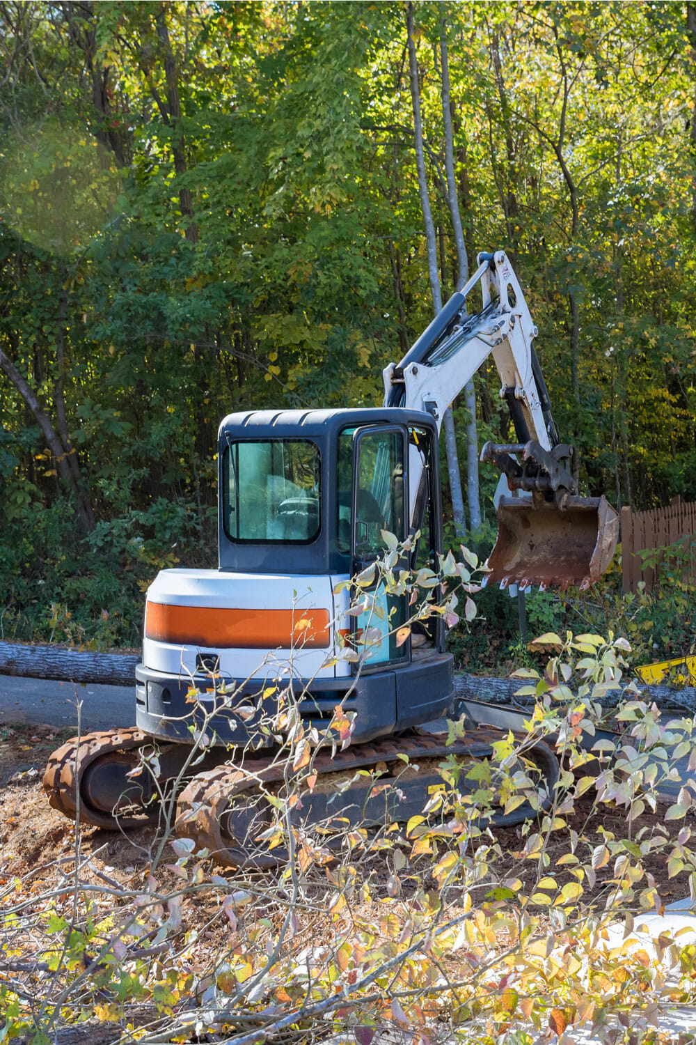 Small excavator cleans up fallen storm damaged trees and debris near Seattle Washington - Pacific Arboriculture