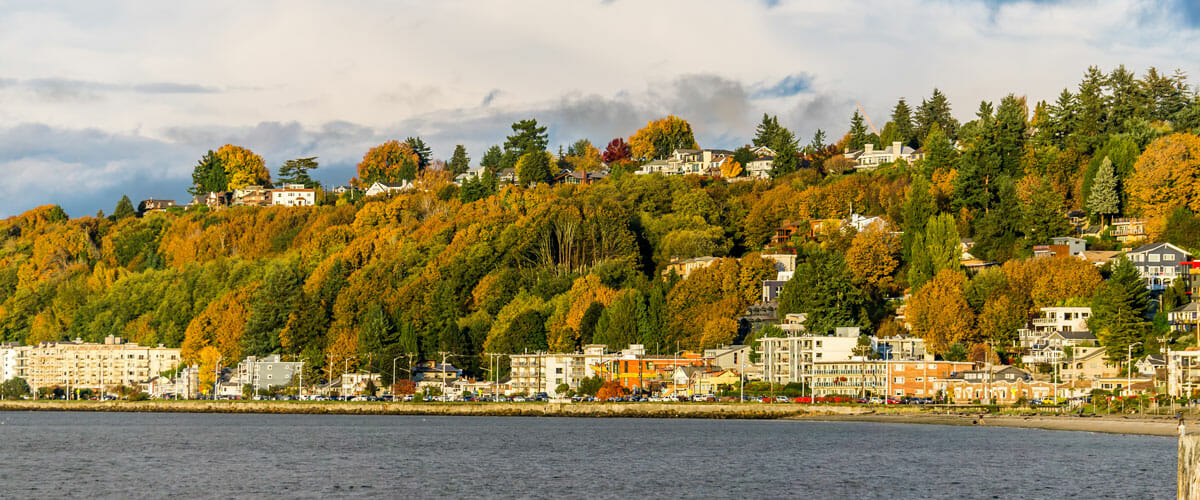 Trees Planted in Washington state surround buildings on the coastline