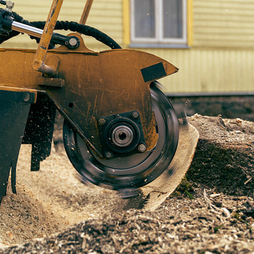 Machine does stump grinding service in Washington