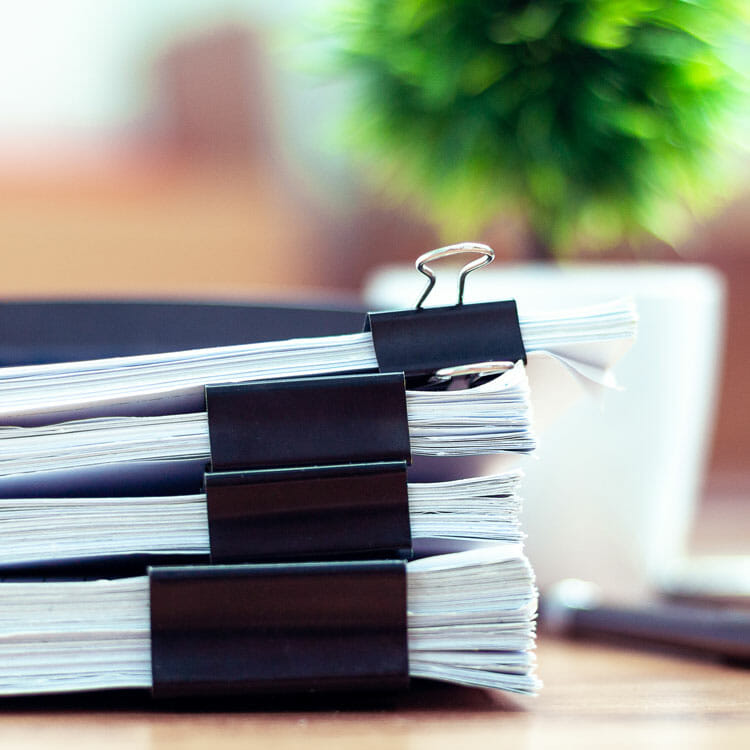 Stack of tree permits on desk next to plant