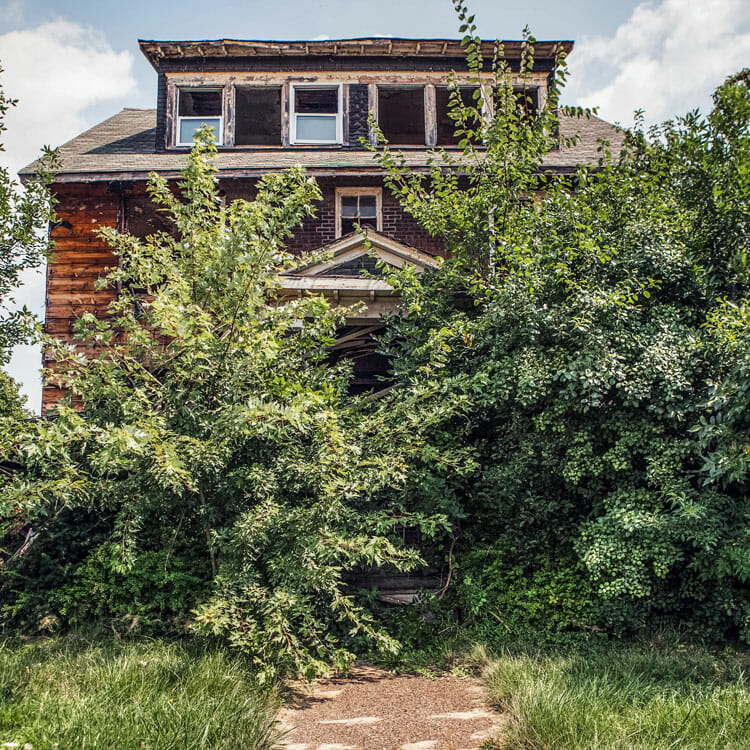 Overgrown tree in need of removal covers home entrance