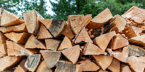 Stacked pieces of firewood in front of forest in washington