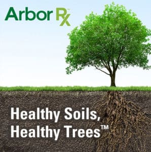 Arbor RX healthy soils, healthy trees