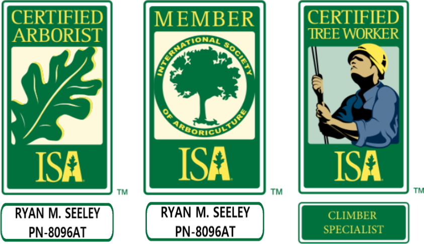 Pacific Arboriculture's certifications with ISA - find a certified arborist near you