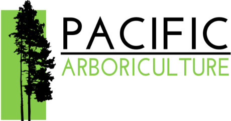 Pacific Arboriculture Logo