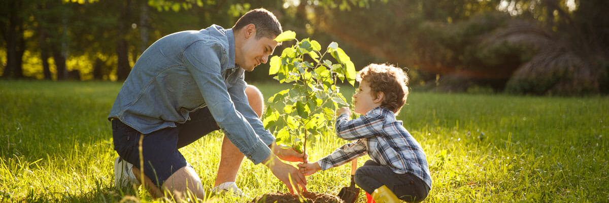 Father and son plant tree together in washington state