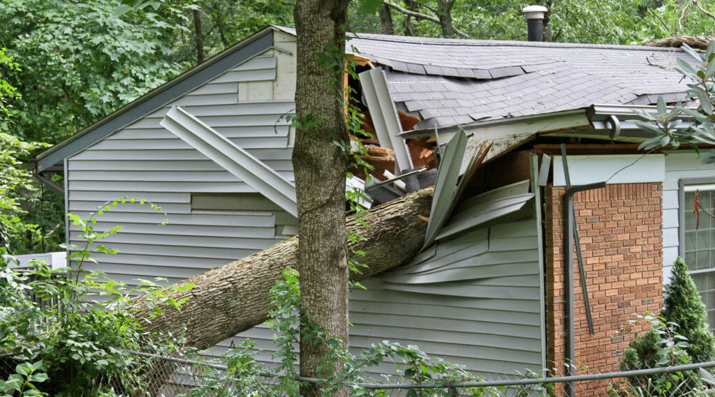 Storm damaged tree causes damage to home - insurance