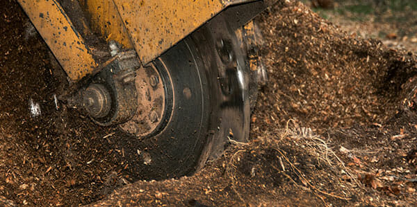 Machine grinds stumps into wood chips