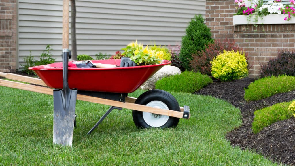shovel leaning against red wheelbarrow filled with plants near flowerbed in washington