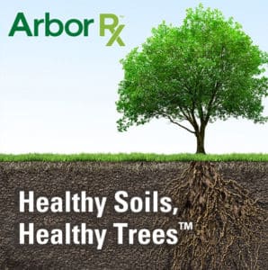 arbor RX healthy soils, healthy trees